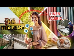 Linen Manufacturing Process - Flex Fiber To Linen Fabric