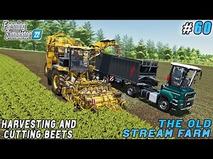 Harvesting & cutting beets for sugar production | The Old Stream Farm | Farming simulator 22 | #60