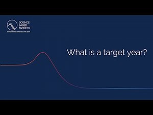 Back to Basics: What is a target year?