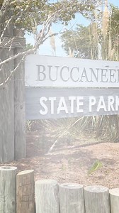 Take a look at campsite #217 at Buccaneer State Park in Waveland. It's our first and only TINY HOUSE in Mississippi State Parks! It will be furnished with a queen bed and a queen sleeper sofa. We hope to have it ready for rent for Labor Day so stay tuned! We are planning to buy more of these and place them in our parks around the state... #MSStateParks #BuccaneerStatePark ##Waveland #Mississippi #tinyhouse #tinyhome | Mississippi State Parks