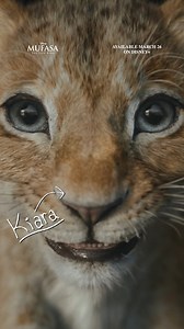 Meet the pride 🧡🧡🧡 #Mufasa: The Lion King is coming to Disney on March 26! | Walt Disney Studios