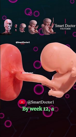 📢 The 7 Stages of Infant Development 👶💞