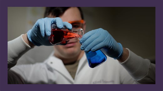 Alfred University - Biomaterials Engineering Program