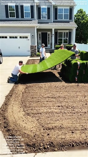 Essential Guide to Planting Seeds Successfully