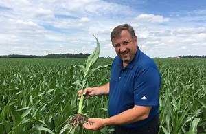 Corn School: Fungicide application timing on a variable corn crop
