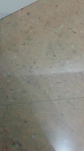 Adidas X PLR Boost Review and Adidas XPLR Shoes