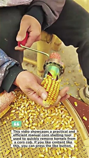 Manual Corn Shelling Tool