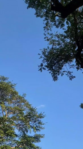 🟢 ¿Estás interesado en aprender más sobre las técnicas de Cintas Streamer, Pandero y Mantos? En Academia De Danza Hallal tenemos espacio para tí 🙌🏻; ven e inscribete en nuestros cursos de danza que darán inicio este próximo 20 de enero. Aún estás a tiempo de formar parte de nuestra Familia Hallal 🤩. #danza #danzacristiana #nicaragua