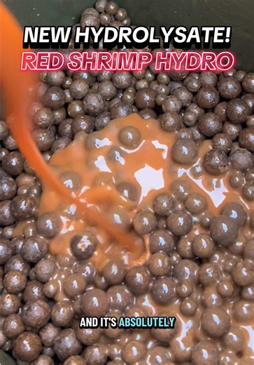 🔥 This is the bait serious carp anglers swear by 🔥 If you’re looking for a proven carp fishing bait that works in all water conditions, DNA Baits Red Shrimp Hydro is a game-changer. Packed with hydrolysed shrimp, powerful natural attractors, and high-leakage liquid, this bait pulls carp into your swim fast and keeps them feeding longer. Perfect for boilies, pellets, spod mixes, PVA bags, or boosting any bait, this liquid attractor releases an irresistible shrimp & shellfish scent that carp sim
