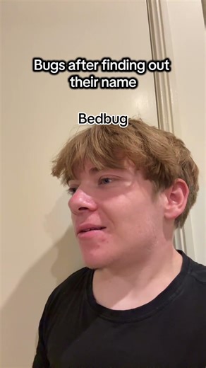 We would all like to be cockroaches right guys? #skit