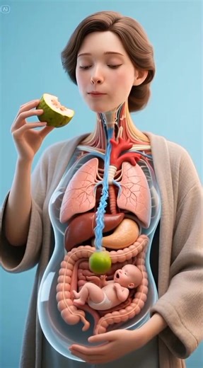 Exploring 3D Animation Techniques