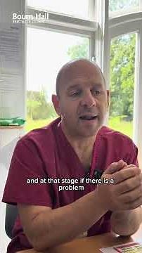 Role of a Urologist in Male Fertility