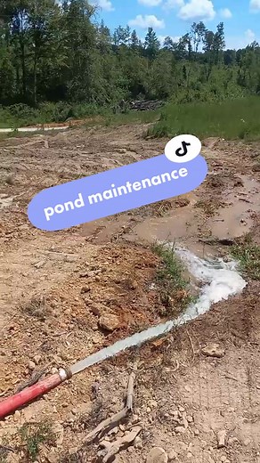 Draining the Duck Pond for a Complete Makeover