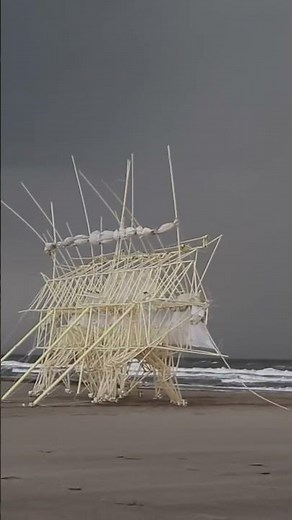 Strandbeest! 🌬️🏖️
