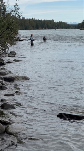 27K views · 666 reactions | There’s still time to catch fish in the river. What’s everybody up to this Labor Day weekend? Here’s a quick view of Kenai River in Soldotna, Alaska 鸞 | Alaska Outdoors Television | Facebook