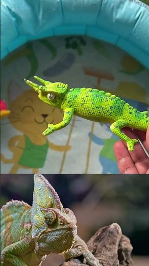 learn insect names and facts| insect animal toys for toddlersn and preschoolers