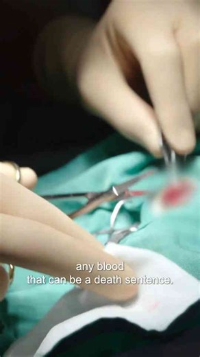 How a hidden infection turned into a guinea pig eye emergency