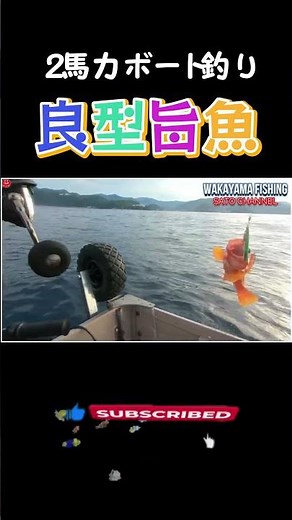 [２馬力ボート釣り]２馬力で旨魚を釣る・・・ ＃short#釣り #ボート＃２馬力＃サビキ＃根魚#fishing＃ハヤブサ＃AI #メタルジグ
