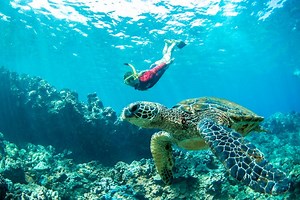 Wailea Beach Kayaking & Snorkel Tours | Aqualani Beach