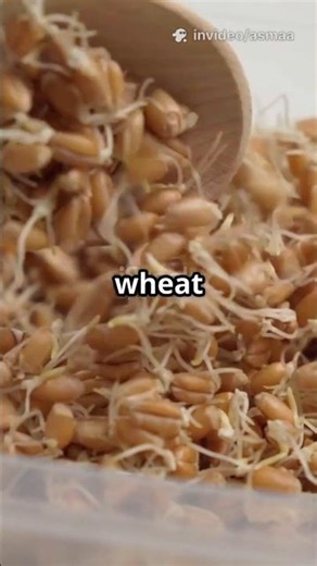 Wheat Germ: A Nutrient Boost..