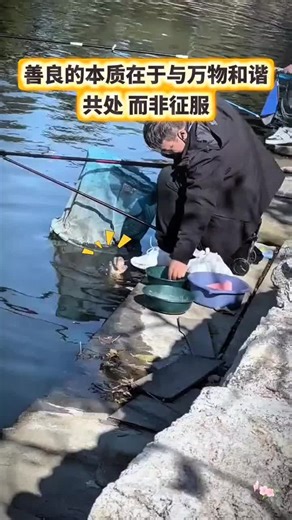 🇨🇳「善良的本质在于与万物和谐共处，而非征服。」 —— 艾伯特·史怀哲 🇬🇧 „The essence of kindness lies in living in harmony with all things, not in conquering them.“ —— Albert Schweitzer 🇨🇳 类似案例： 🇬🇧 Similar cases: 🇨🇳 潜水员在海底救助受困海龟后，海龟围着潜水员游动许久，仿佛在表达感谢。 🇬🇧 A diver rescued a trapped sea turtle; the turtle swam around the diver for a long time, as if expressing thanks. 🇨🇳 摄影师在森林里偶遇小鹿，不仅没有惊吓它，还分享了随身带的水果，留下温馨合影。 🇬🇧 A photographer encountered a fawn in the forest; instead of startling it, they shared fruit and took a he