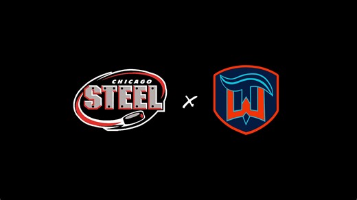 1.6K views · 45 reactions | We're halfway through our Title Wave Sports Plays of the Year! #5 - Heroics From Hage | Michael Hage goes backhand to forehand and releases a quick wrist shot to lift the Steel over the Gamblers in overtime  #FeelSteel #TopPlays | @followers | Chicago Steel Hockey Team | Facebook