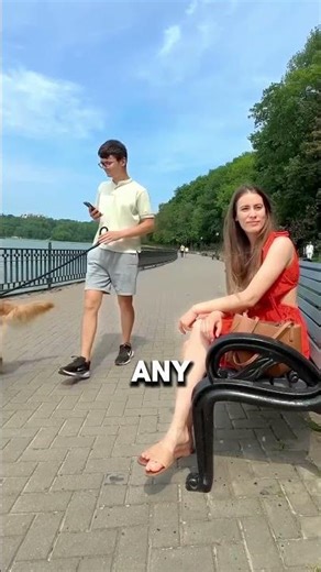 Can Dogs Recognize Their Owner in Public? (leofucarev/yt)