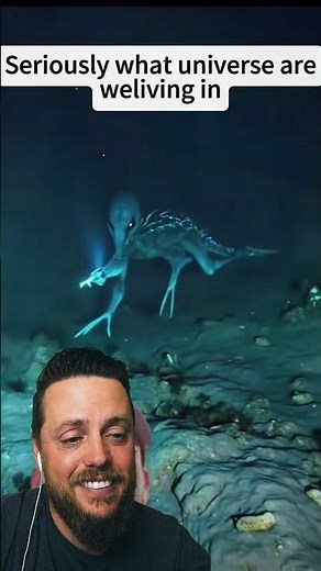 are they coming from under the water?!