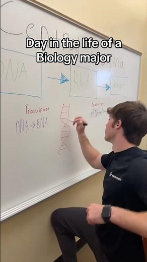 Day in the Life of a Bio Major