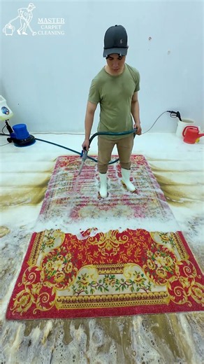 A carpet cleaning transformation you'll love.#relax #satisfying