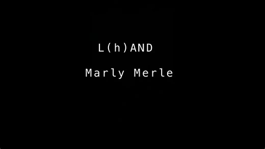 L(h)AND