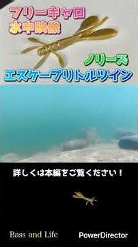 【バス釣り】フリーキャロ水中映像！エスケープリトルツイン【ノリーズ】 #バス釣り #fishing