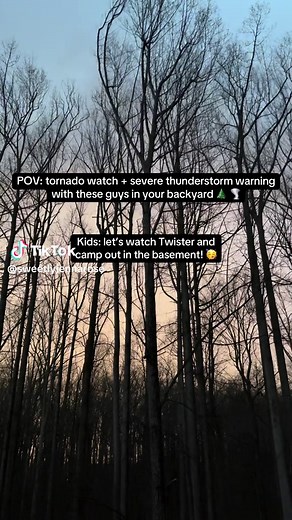 Spring storms in the mid-Atlantic are no joke… meanwhile my kids think it’s the perfect night for a Twister movie night 😅🌪️🚨 Spring weather in the mid-Atlantic can change fast. We were under a tornado watch and severe thunderstorm warning last night and the wind started blowing the giant trees in the forest behind our house in a way that definitely got my attention. Meanwhile my kids thought it would be the perfect time to watch Twister and camp out in the basement. Storm season, unpredictabl