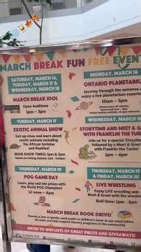 Break & Fun📣