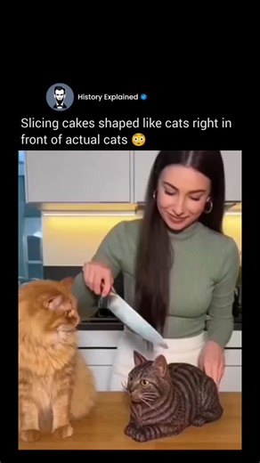 History Explained on Instagram: "Follow @HISTORY__EXPLAINED for more interesting content! ✅ The post showcases a 10-second AI-created video in which a woman cuts into an ultra-realistic cake shaped like a cat, prompting a nearby orange tabby to spring onto her back as if to protect it. The moment erupts into playful chaos, with cake flying and her partner stepping in, clearly played for laughs. In the replies, viewers praise the humor while questioning the clip’s realism, pointing out the cat’s
