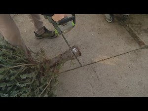 Pat Sullivan's tips: How to ensure your tree is Christmas ready