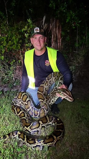 Deer Eater Spotted in the Glades!