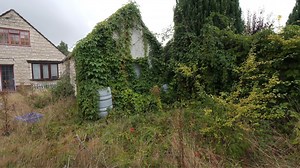 3 days to revive a neglected garden with 19 years of overgrowth