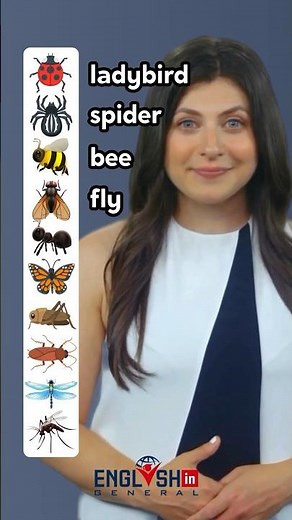Insects Vocabulary in English
