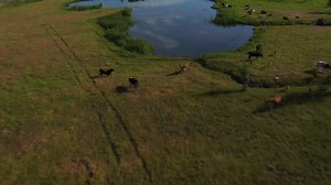 Global Commons: Solutions for a Crowded Planet