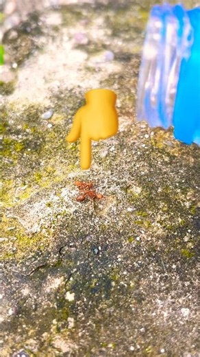 2 Red Ants… Wait for the Last Scene! 😱🐜🐜 #trending