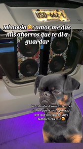 😂😂🫢 #caraudio #caraudiosystem #caraudiopeninsula #carsreels #magnumaudio #humor #paratiiiiiiiiiiiiiiiiiiiiiiiiiiiiiii | ErwinVazquez.28