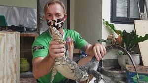 Monitor lizard vs fluffy dog