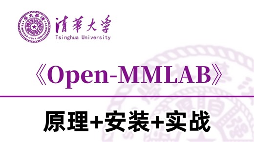强推！2026最新【Open-MMLab】天花板教程！从安装到实战，AI大佬带你半天带你吃透论文实验神器，Open-MMLab框架，分类、分割、检测一套搞定！