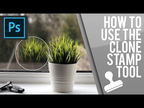 How to use the Clone Stamp Tool in Photoshop
