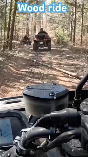 ATV G - Wood tracks ride #Segway #AT6 #AT10 #wood #Bulgaria