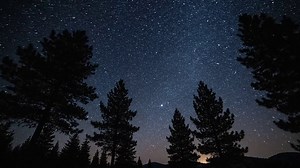 Starry Night Sky Over Pine Forest - Free Stock Video Footage | Coverr