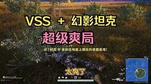 【直播录屏】VSS超级爽抽的一局