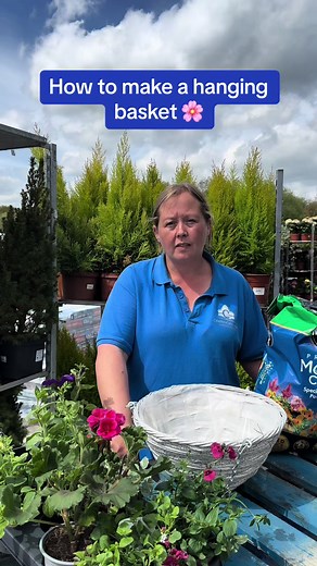 How to make a hanging basket 🌸 Our expert Kerry will teach you how to create your perfect basket and she will show you her favourite plants 😊 #carpenderspark #carpendersparkgardencentre #hangingbasket #gardening #garden #mygarden #gardeningtips #beddingplants
