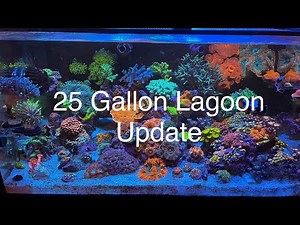 Nano Reef Tank Update Tour! Innovative marine 25 gallon lagoon saltwater aquarium! Tons of coral!!!!